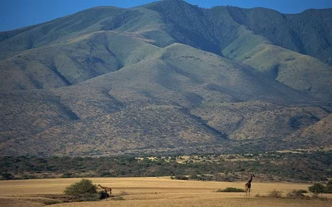 Tanzania: Nổi tiếng với tự nhiên hoang dã và những khung cảnh Đông Phi hoành tráng.