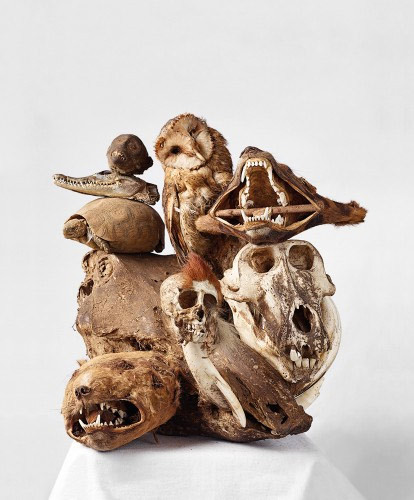 Ngoài các bộ phận động vật trên còn có các sản phẩm khác như các bức tượng bằng xương, bằng sừng được trang trí cầu kỳ hoặc hình nhân bằng đất nung cũng xuất hiện trong khu chợ.