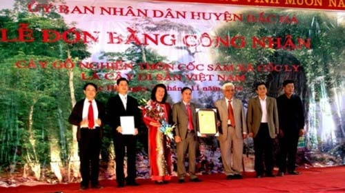 Sáng 25/11 Hội bảo vệ thiên nhiên, môi trường và UBND huyện Bắc Hà tổ chức công bố quyết định công nhận cây gỗ nghiến hơn một nghìn tuổi này là Cây di sản Việt Nam. Đây là Cây di sản Việt Nam thứ 4 tại Lào Cai, bên cạnh cây đa ở Đền Thượng (TP Lào Cai), cây gỗ nghiến ở Bắc Hà, cây đỗ quyên và cây vân sam ở Vườn quốc gia Hoàng Liên (Sa Pa).