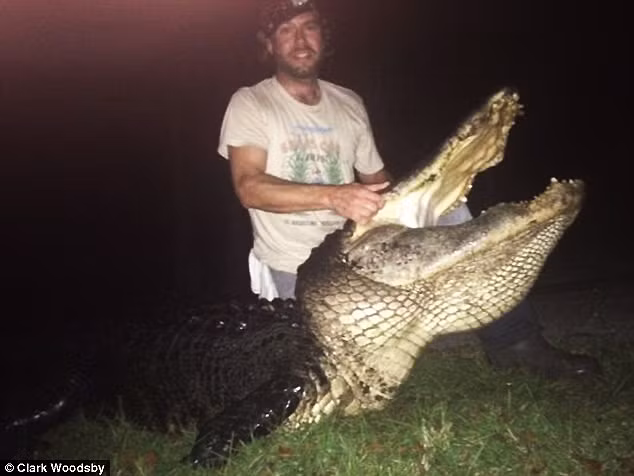 Sau khi nhận tin cá sấu khổng lồ xuất hiện, Woodsby cùng hai người bạn là Winter Haven và Glen Grizzaffe đã quyết định tới tóm gọn con quái vật nguy hiểm.