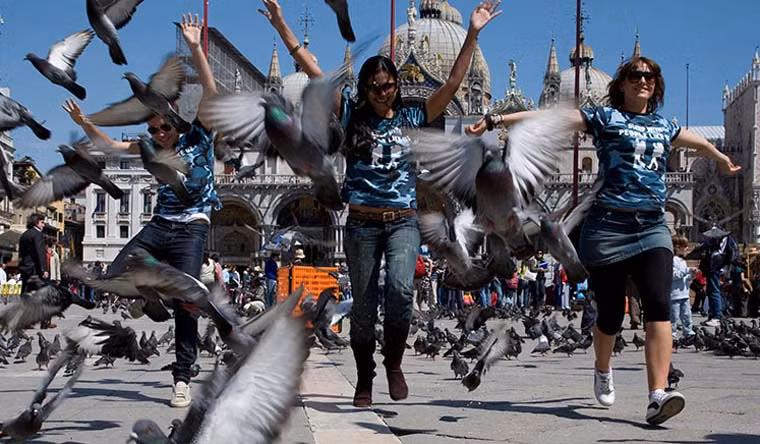Một người cho biết: “Tôi biết điều này hơi ghê, nhưng thật hài hước khi thấy bạn bè hay người thân của mình bị chim tấn công”.