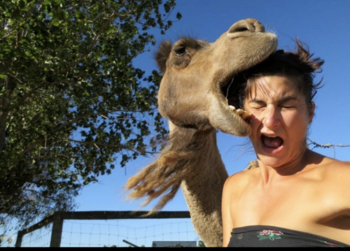 8. Tự sướng với lạc đà. Cô ấy chắc chắn không bao giờ lường trước chuyện gì sẽ xảy ra.