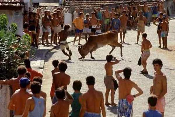  Lễ hội Farra Do Boi truyền thống ở Brazil: Tên của lễ hội theo tiếng địa phương có nghĩa là “vui vẻ với bò”, nhưng sự thực để đổi lấy sự vui vẻ cho con người, những con bò phải chịu đau đớn cùng cực và cái chết.