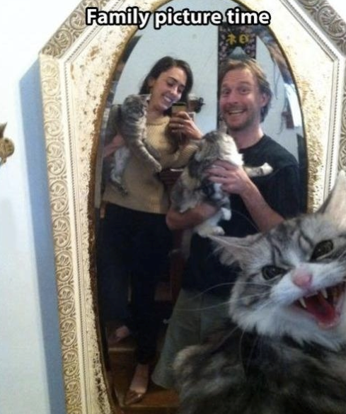 2.Tự sướng với mèo tập 2.