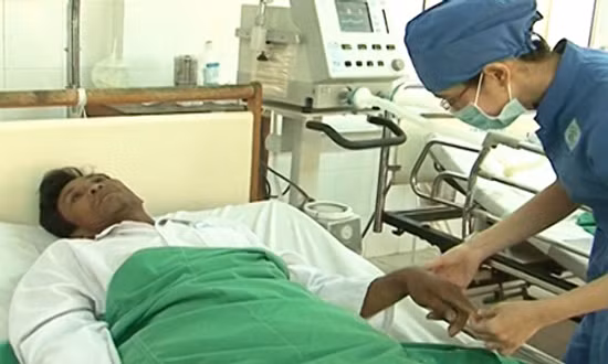 Ngày 24/11, lãnh đạo Bệnh viện Đa khoa tỉnh Phú Yên xác nhận, đã tiếp nhận, điều trị cho 141 bệnh nhân bị rắn lục đuôi đỏ cắn, nhiều nhất là trong tháng 11, với 41 ca. Tại Quảng Nam, Quảng Ngãi cũng có gần 40 người bị loại rắn độc này cắn.