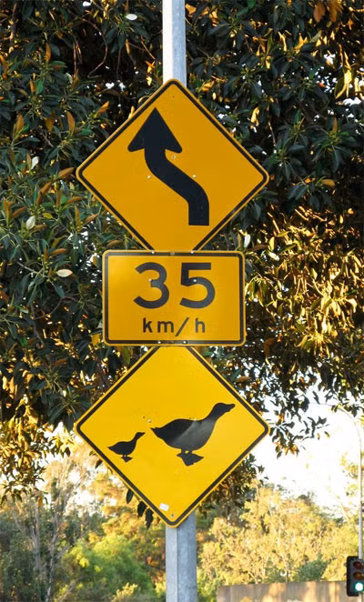 Ngoài rùa, quái vật chân to và thú hoang, bạn còn phải để ý tới những đàn vịt qua đường.