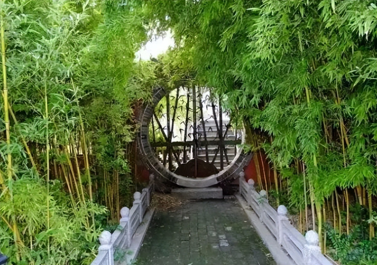 Ảnh minh họa Toutiao 6. Tre: Nếu bạn trồng vài gốc tre là sau 4-5 năm chúng sẽ biến thành "tường thành" trong sân nhà bạn. Bộ rễ của nó rất khỏe và sẽ phát triển thành diện tích lớn theo thời gian. Do đó, nếu bạn muốn trồng nhiều cây cảnh, rau cỏ khác trong vườn thì không nên trồng tre, trúc. Nhìn thì tao nhã nhưng sự phát triển điên cuồng của tre trúc bạn sẽ không đỡ được đâu.