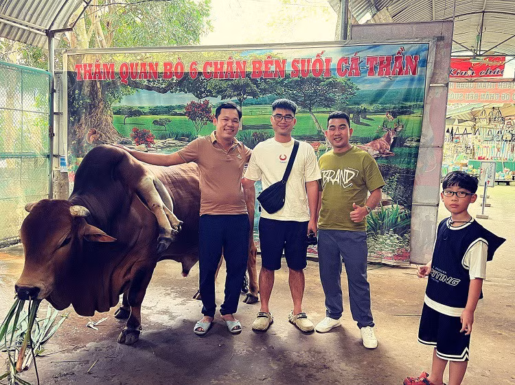 Con bo o Thanh Hoa duoc tra gan 6 ty nhung chu khong ban-Hinh-5