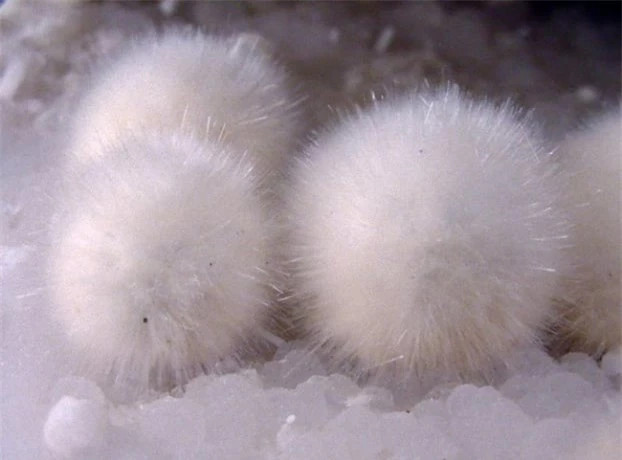 2. Những quả bóng lông này thực sự là một khoáng chất gọi là okenite.