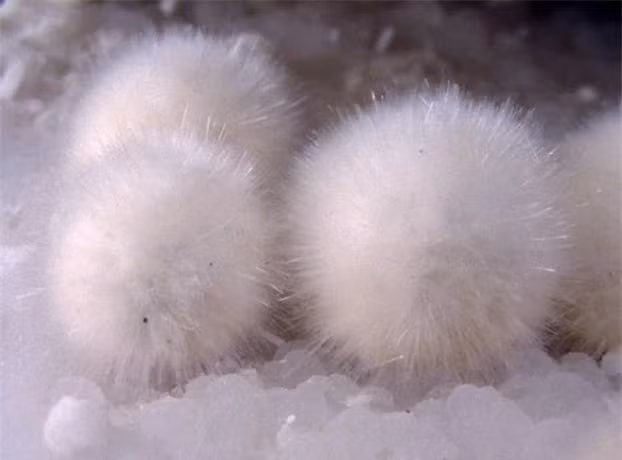 2. Những quả bóng lông này thực sự là một khoáng chất gọi là okenite.