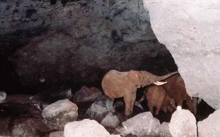 Hang Kitum ở Kenya được xem là ‘ hang động nguy hiểm nhất thế giới’, nơi chứa những mầm bệnh nguy hiểm nhất mà con người biết đến.