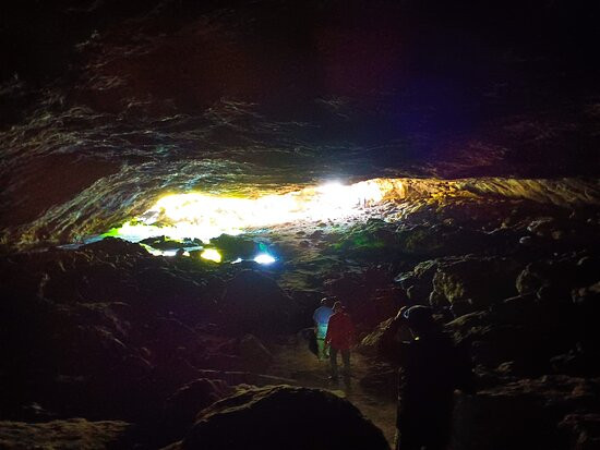 Các bác sĩ ở Mỹ cũng được cảnh báo đề phòng các trường hợp nhập cảnh, làm dấy lên lo ngại rằng virus có thể lây lan một cách lén lút. Virus Marburg đã được cảnh báo là mối đe dọa đại dịch lớn tiếp theo, với việc WHO mô tả nó là 'dễ xảy ra dịch bệnh'.