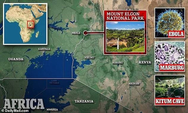 Không có vắc xin hoặc phương pháp điều trị nào được phê duyệt đối với loại vi rút này, thay vào đó, các bác sĩ phải dựa vào thuốc để giảm bớt các triệu chứng và truyền dịch để cung cấp nước cho bệnh nhân.