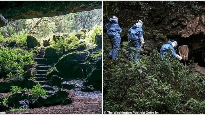 Bệnh nhân nhiễm bệnh trở nên “như ma”, thường có đôi mắt sâu và khuôn mặt vô cảm. Nhưng ở giai đoạn sau, nó gây chảy máu từ nhiều lỗ bao gồm mũi, nướu, mắt và âm đạo.