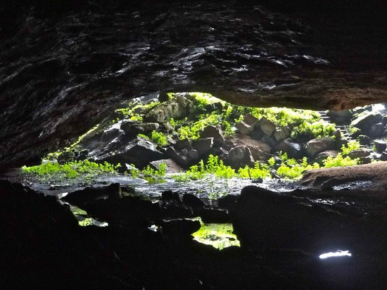 Năm ngoái, các đội từ Tổ chức Y tế Thế giới của Liên Hợp Quốc đã được triển khai trên khắp Châu Phi, làm việc hết công suất để ngăn chặn một đợt bùng phát Marburg khác, sau đó loại virus này đã được phát hiện trong các hang động khác trên khắp lục địa.