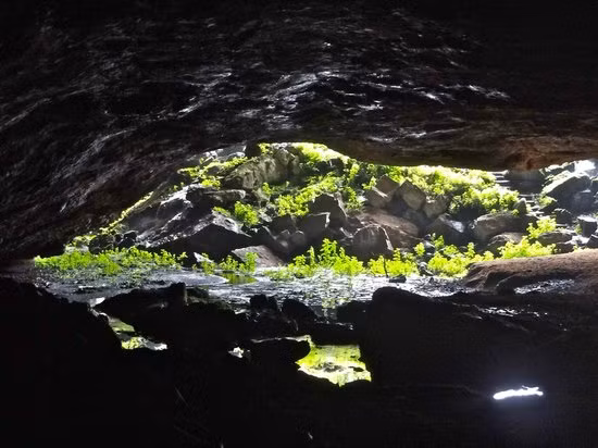 Năm ngoái, các đội từ Tổ chức Y tế Thế giới của Liên Hợp Quốc đã được triển khai trên khắp Châu Phi, làm việc hết công suất để ngăn chặn một đợt bùng phát Marburg khác, sau đó loại virus này đã được phát hiện trong các hang động khác trên khắp lục địa.