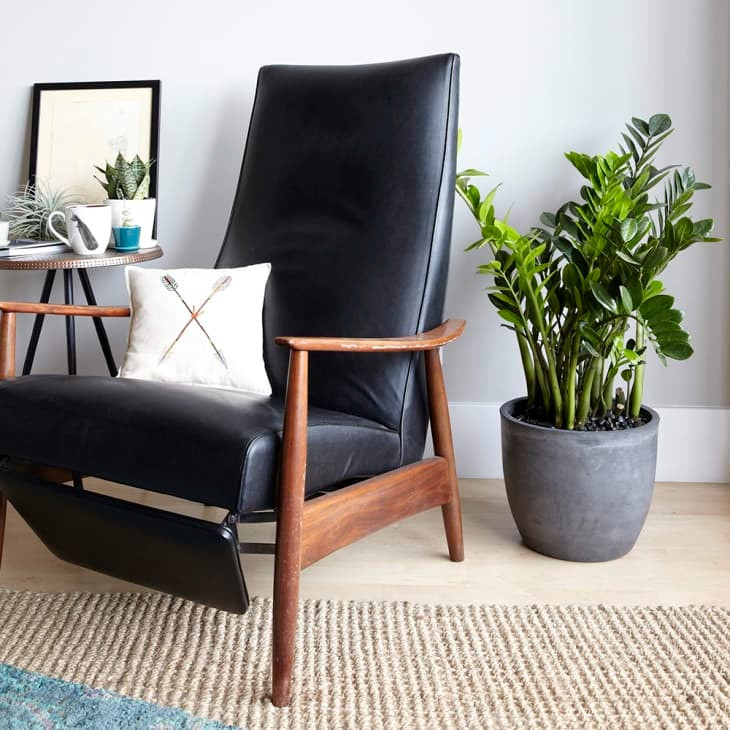  Ý nghĩa phong thủy tốt lành của cây cảnh kim tiền: Thịnh vượng và giàu có: Cây cảnh kim tiền ra hoa là điềm tốt, hàm ý sự may mắn, thịnh vượng. Chỉ là nhiều người nuôi cây kim tiền dù đã nuôi cây kim tiền nhiều năm nhưng không dễ nở hoa. Do đó, khi cây cảnh này nở hoa được cho là điềm lành, dự báo tài lộc sắp đến.