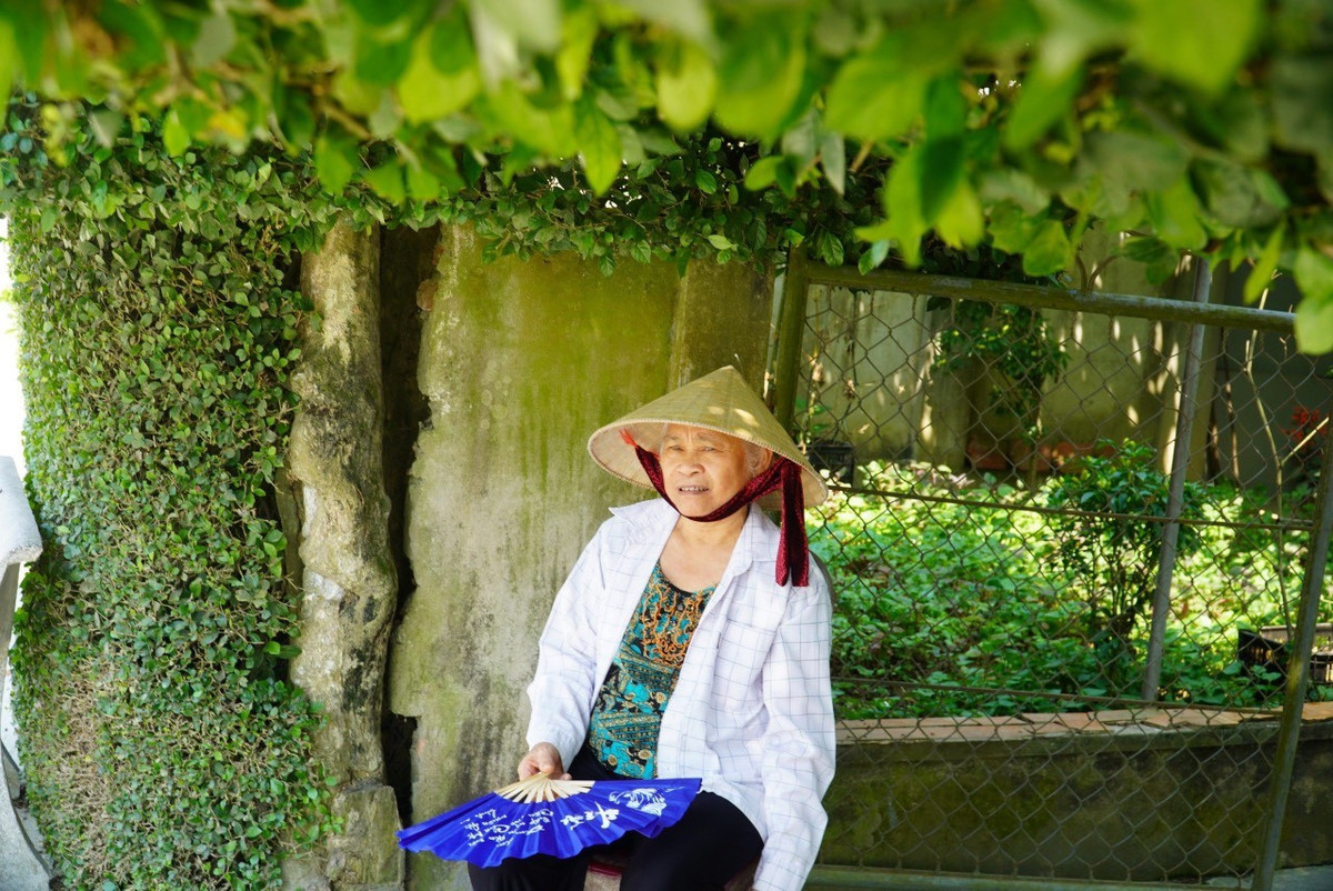 Xanh muot hang rao bang cay duoi tram tuoi o Ha Tinh-Hinh-4