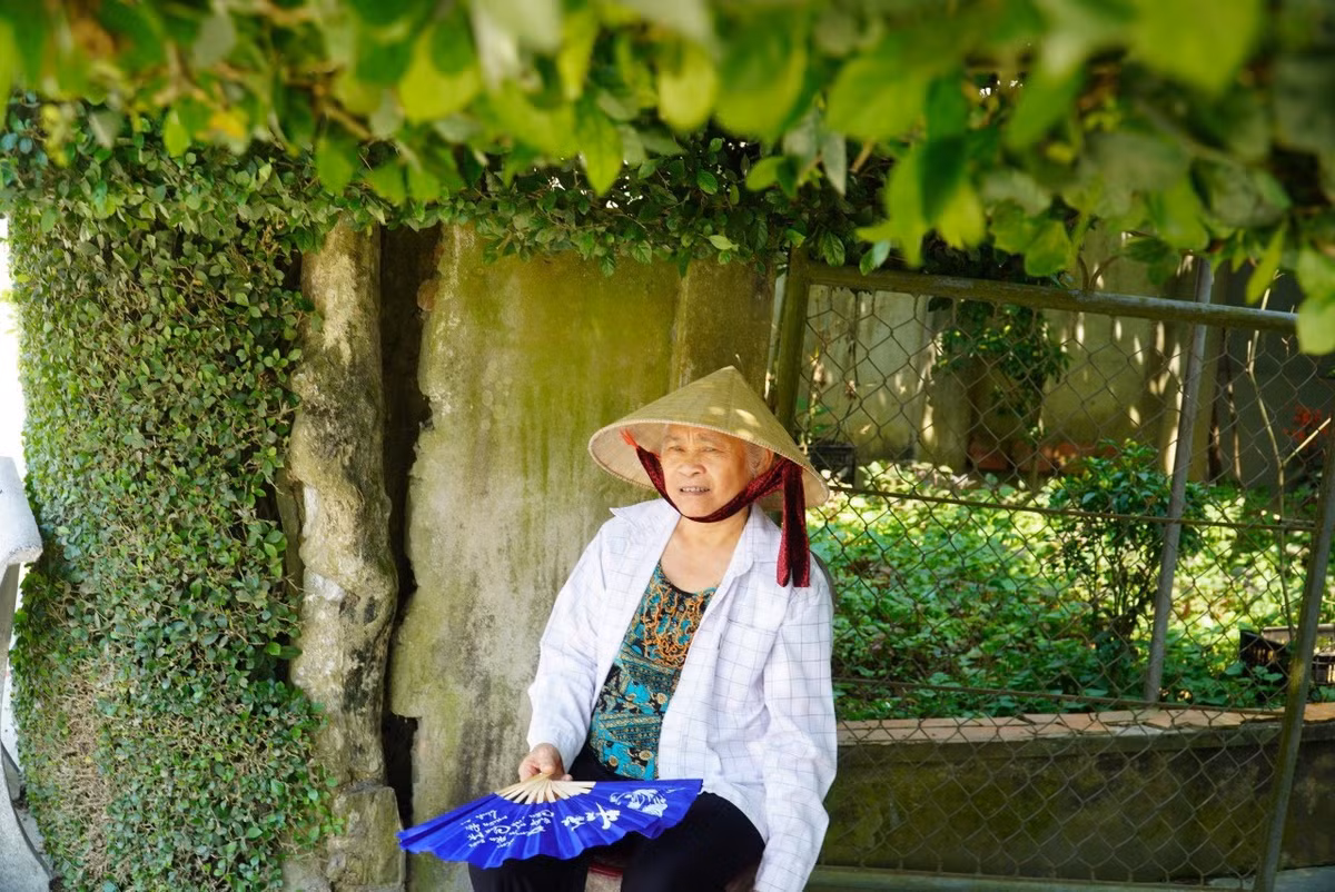 Xanh muot hang rao bang cay duoi tram tuoi o Ha Tinh-Hinh-4