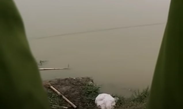 Kết quả xác minh xác định, nạn nhân là Vũ Thị Liên đang là giáo viên trường Tiểu học xã Văn Giang (huyện Ninh Giang, tỉnh Hải Dương).