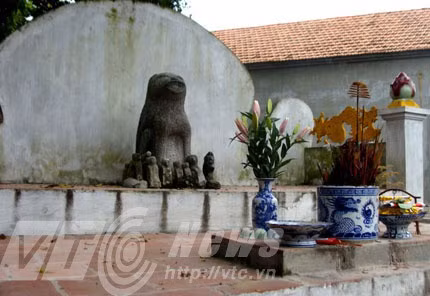 Giai ma lang thit cho khong ai dam… giet cho!-Hinh-5