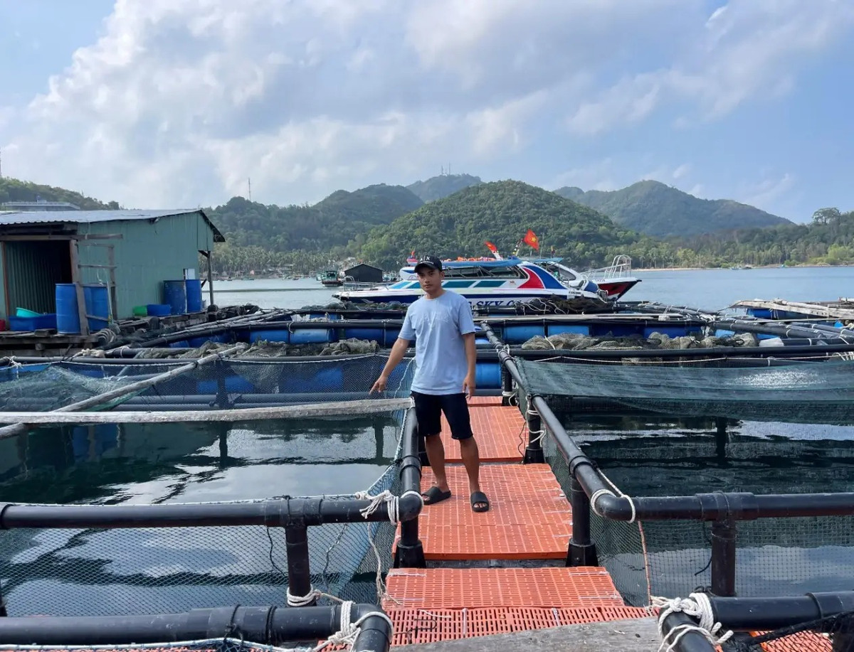 Thu nhập “khủng” nhờ nuôi loại cá đặc sản ở huyện đảo Kiên Giang Thu nhap “khung” nho nuoi loai ca dac san o huyen dao Kien Giang