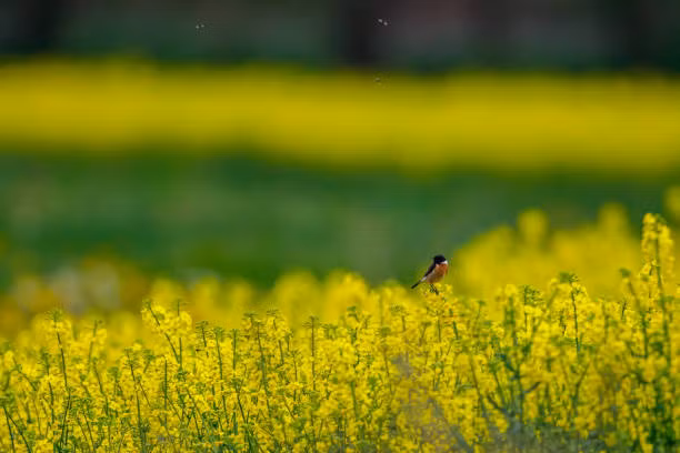 Nguoi sinh vao thang Am lich nay, lay ro hung tien, tieu mai khong het