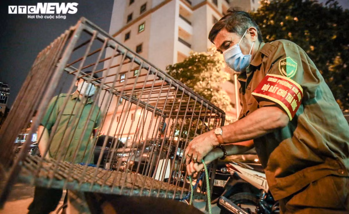 Ông Ngô Nguyên Bắc, Đội trưởng đội bắt chó thả rông phường Kim Giang cho hay, mỗi tuần đội thường đi tuần tra 2 buổi. Thời gian đầu, khi thấy chó nhà bị bắt, nhiều người phản ứng và gây khó khăn cho tổ công tác, tuy nhiên sau khi giải thích, người dân cũng đã ý thức hơn. Sau hơn 3 năm đội đi vào hoạt động, lượng chó thả rông trên địa bàn đã giảm hẳn.