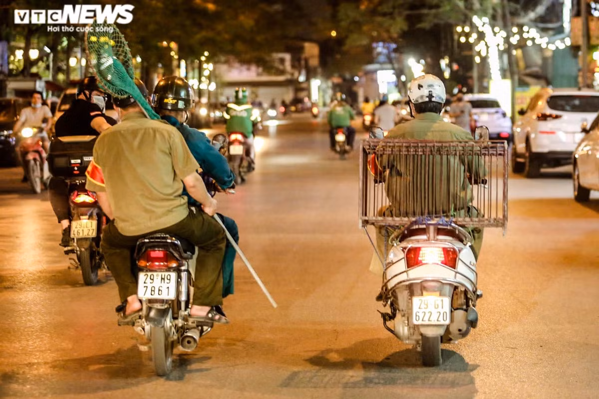 Trong khoảng một giờ đồng hồ tuần tra khắp các ngõ ngách trên địa bàn phường Kim Giang, tổ phát hiện và thu giữ 2 chú chó thả rông ngoài đường. “Chó vi phạm sẽ được đưa về phường nuôi nhốt và cho ăn, sau đó phát loa thông báo tìm chủ nuôi. Thường có 2 lỗi bị xử phạt là không tiêm chủng và thả chó ra đường. Với mỗi lỗi này, chủ nuôi chó bị phạt 1,5 triệu đồng”, ông Bắc nói.