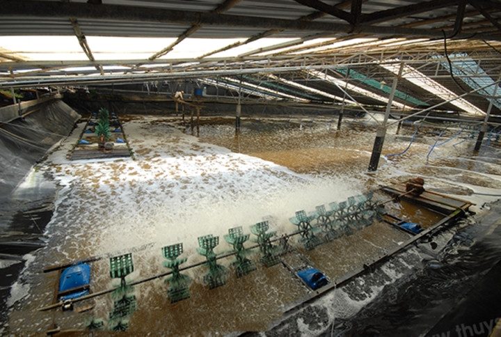 Vua uong ca phe vua tuoi cay, cho tom ca an bang dien thoai-Hinh-2