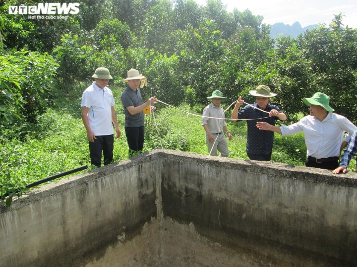 Vua uong ca phe vua tuoi cay, cho tom ca an bang dien thoai