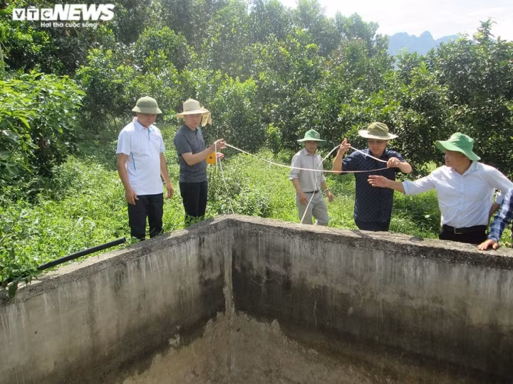 Vua uong ca phe vua tuoi cay, cho tom ca an bang dien thoai