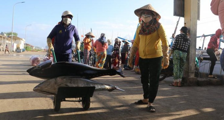 Với dân số gần 38 triệu người và chính sách đón nhận khoảng 400.000 người nhập cư mỗi năm, nhu cầu thủy sản, trong đó có cá ngừ của người dân Canada không ngừng tăng lên.