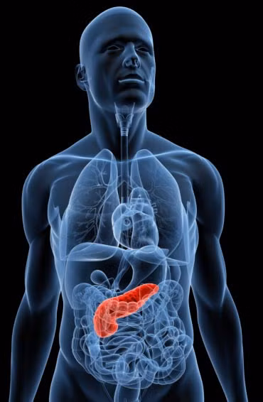 Tỷ lệ sống của các ca mắc ung thư tuyến tụy gần như là thấp nhất trong tất cả các loại bệnh do rất khó phát hiện và xu hướng phát triển ác tính rất cao.