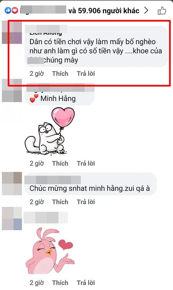 Minh Hang bi chi trich vi tiec sinh nhat 