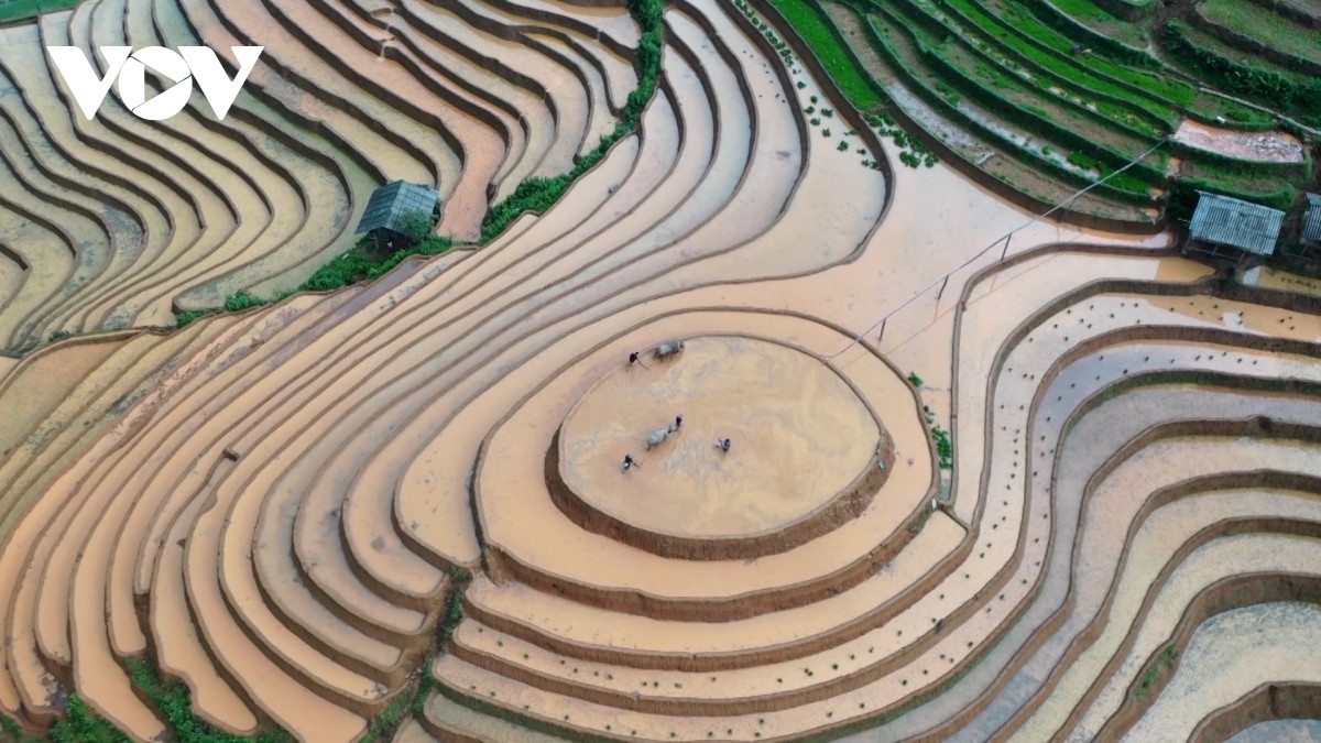 Mù Cang Chải hướng đến du lịch xanh, bản sắc, an toàn, thân thiện Mu Cang Chai huong den du lich xanh, ban sac, an toan, than thien