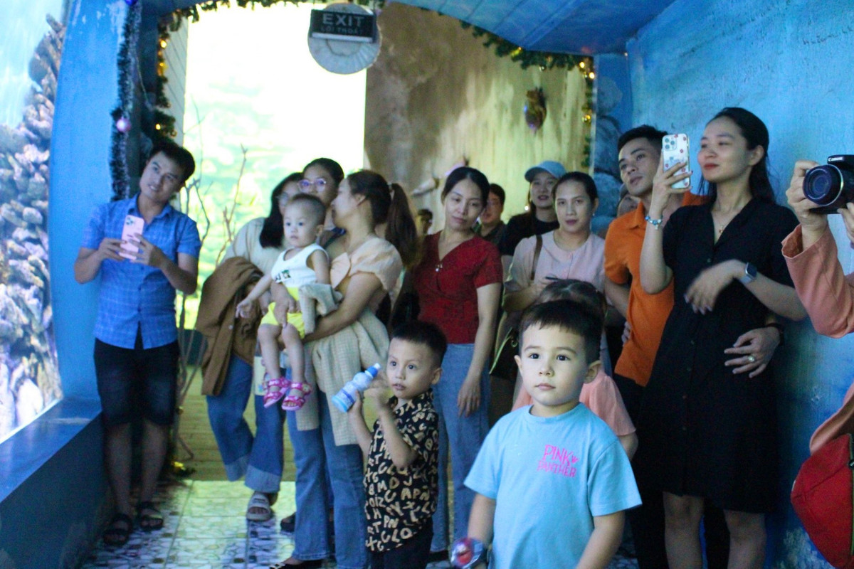 Man trinh dien duoi nuoc dac biet cua ong gia Noel o Nha Trang-Hinh-3