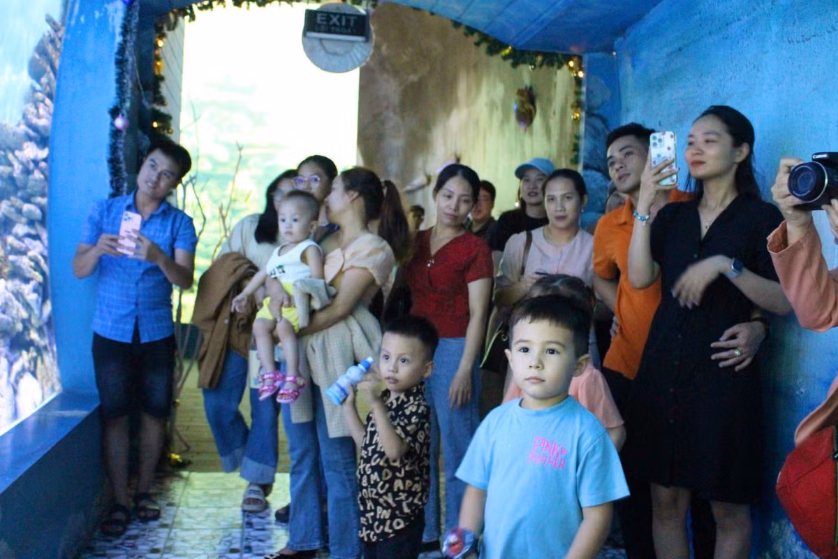 Man trinh dien duoi nuoc dac biet cua ong gia Noel o Nha Trang-Hinh-3