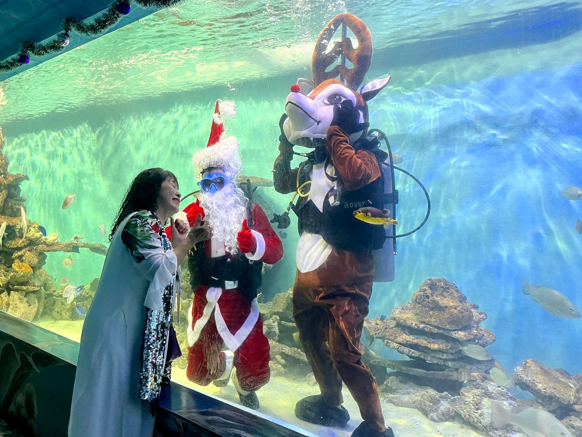 Man trinh dien duoi nuoc dac biet cua ong gia Noel o Nha Trang-Hinh-6