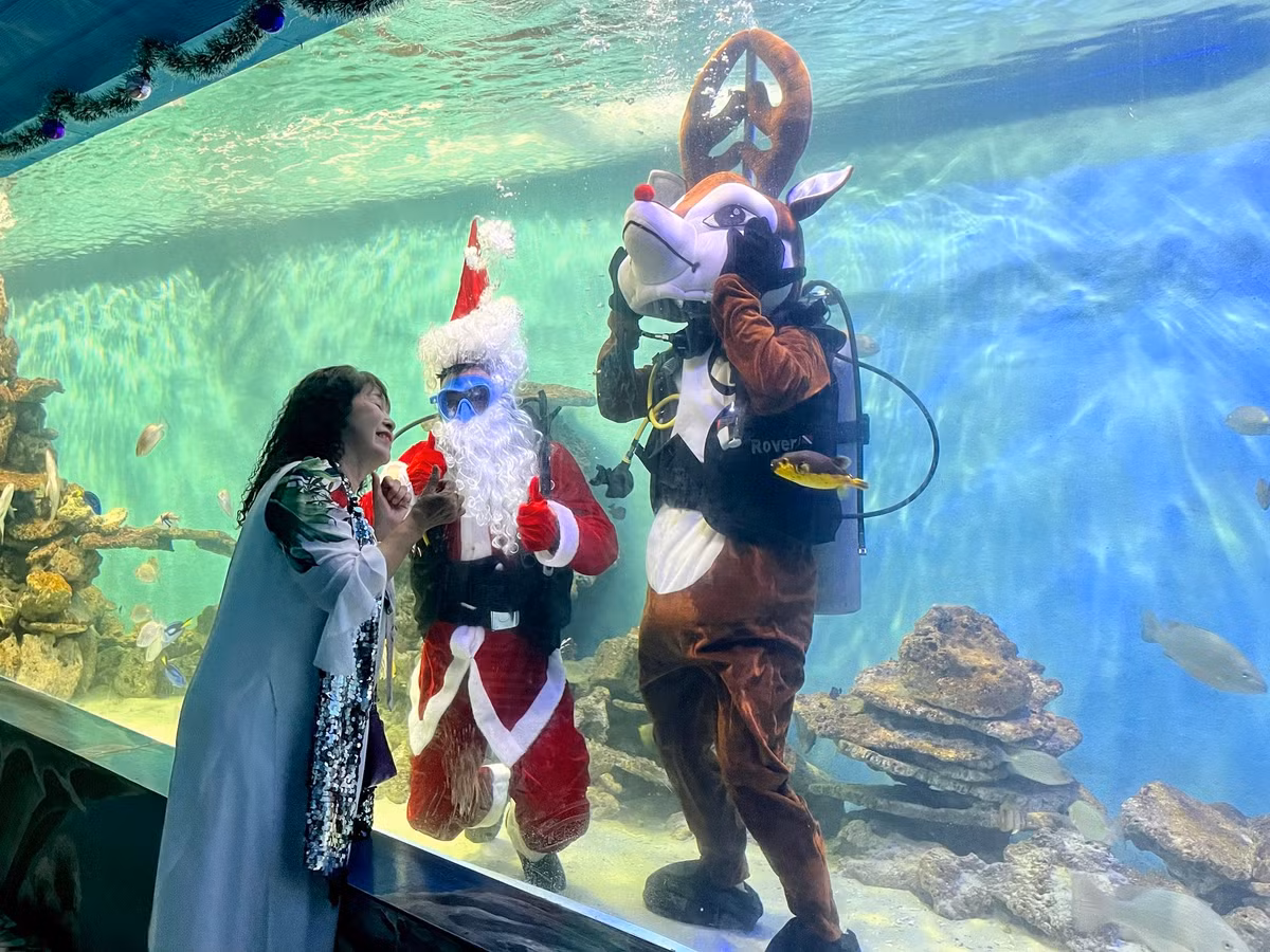 Man trinh dien duoi nuoc dac biet cua ong gia Noel o Nha Trang-Hinh-6