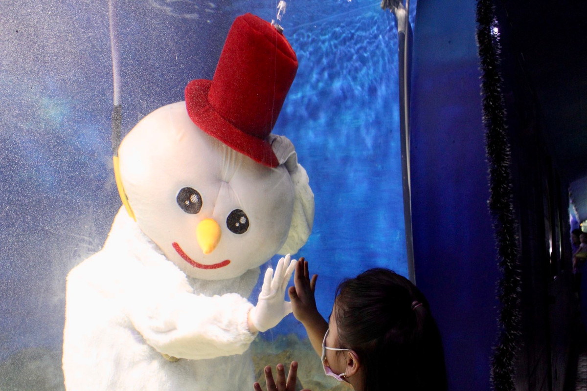 Man trinh dien duoi nuoc dac biet cua ong gia Noel o Nha Trang-Hinh-7