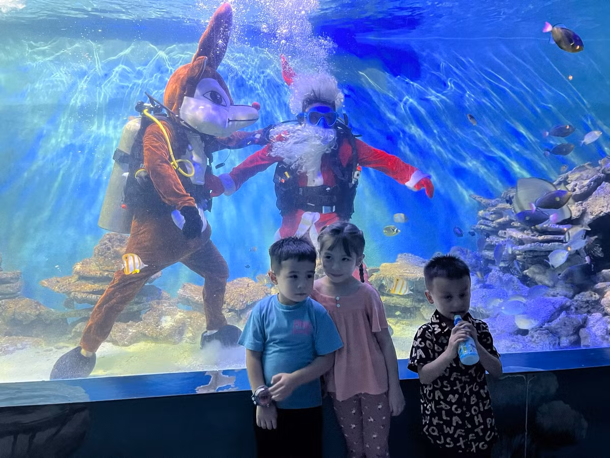 Man trinh dien duoi nuoc dac biet cua ong gia Noel o Nha Trang-Hinh-2