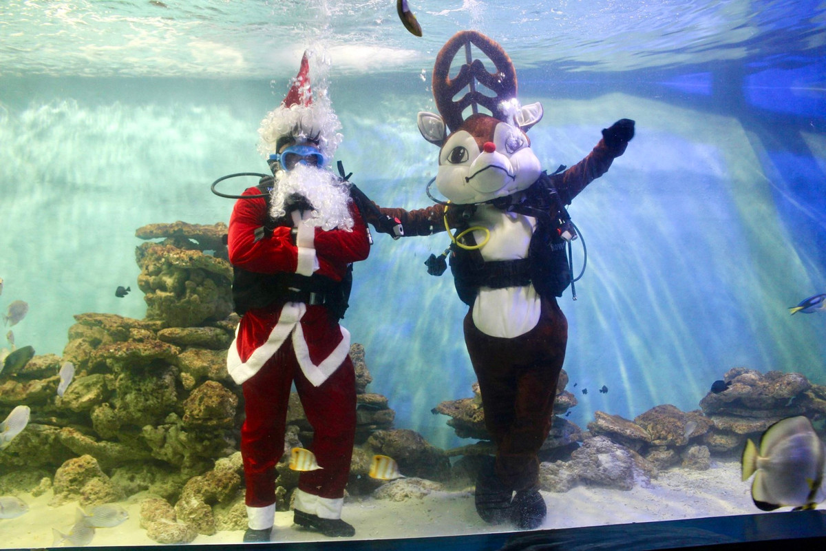 Man trinh dien duoi nuoc dac biet cua ong gia Noel o Nha Trang