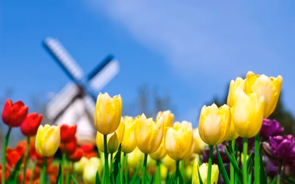 Nửa cuối tháng 12, 3 con giáp vượt khó, phú quý gấp bội Nua cuoi thang 12, 3 con giap vuot kho, phu quy gap boi