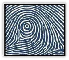 Người có 3 đặc điểm này ở ngón tay nhất định có căn phú quý Nguoi co 3 dac diem nay o ngon tay nhat dinh co can phu quy