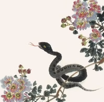 Không những vậy, những người tuổi Tỵ độc thân sẽ thành công thoát khỏi cảnh độc thân, có nhiều người cầu hôn vây quanh, cuộc sống hòa thuận. 