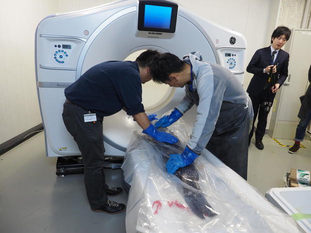 'Dai vuong' san moi cua vung bien Nhat-Hinh-3