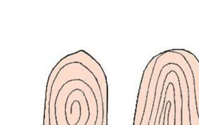 Nếu dấu vân tay của một người có hai đường xô, điều đó có nghĩa là người này càng gặp nhiều may mắn trong cuộc sống, có thể đạt được điều mình muốn mà không cần cố gắng nhiều. Và loại người này rất nổi tiếng, và thường có thu nhập tài chính bất ngờ trong cuộc sống thực. * Thông tin trong bài chỉ mang tính tham khảo, chiêm nghiệm