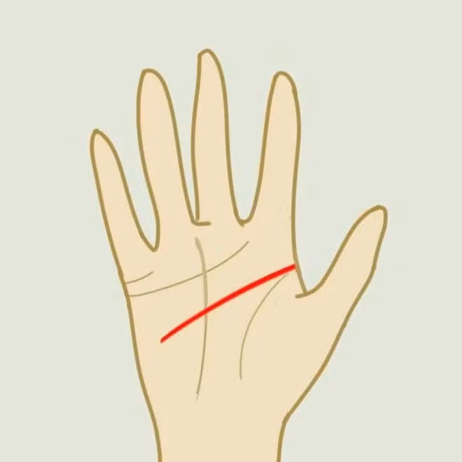 Dang ban tay phu nu tai ba, 