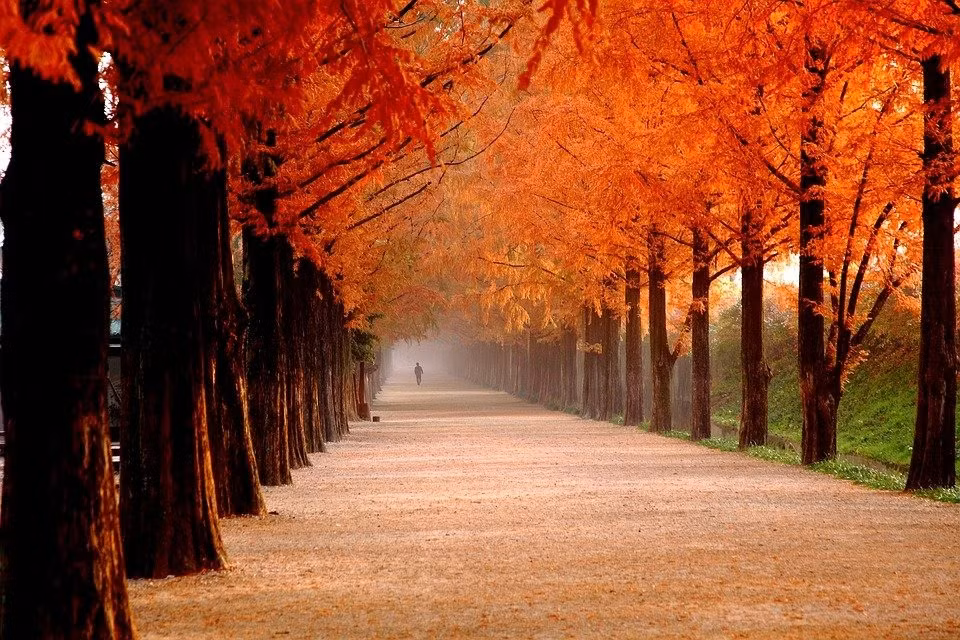 Van khi tot, nguoi sinh ngay Am lich nay tich luy tai loc-Hinh-2